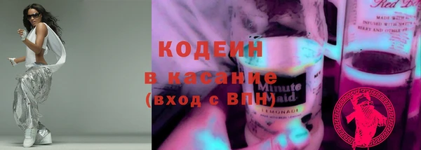 крисы Баксан