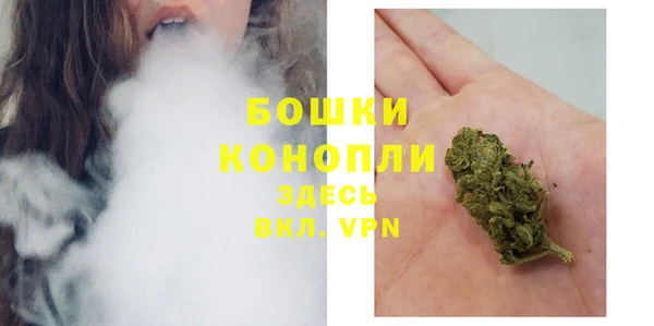 крисы Баксан