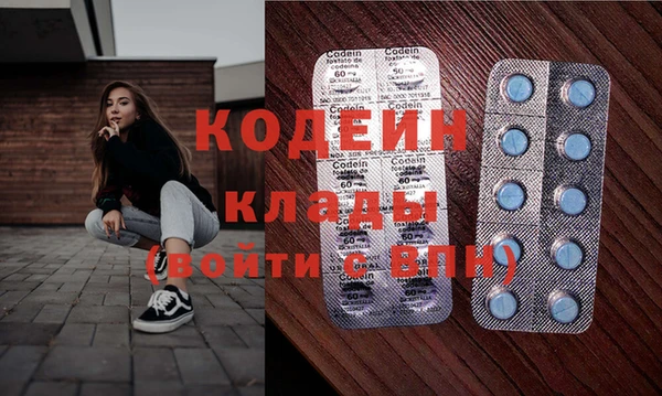 крисы Баксан